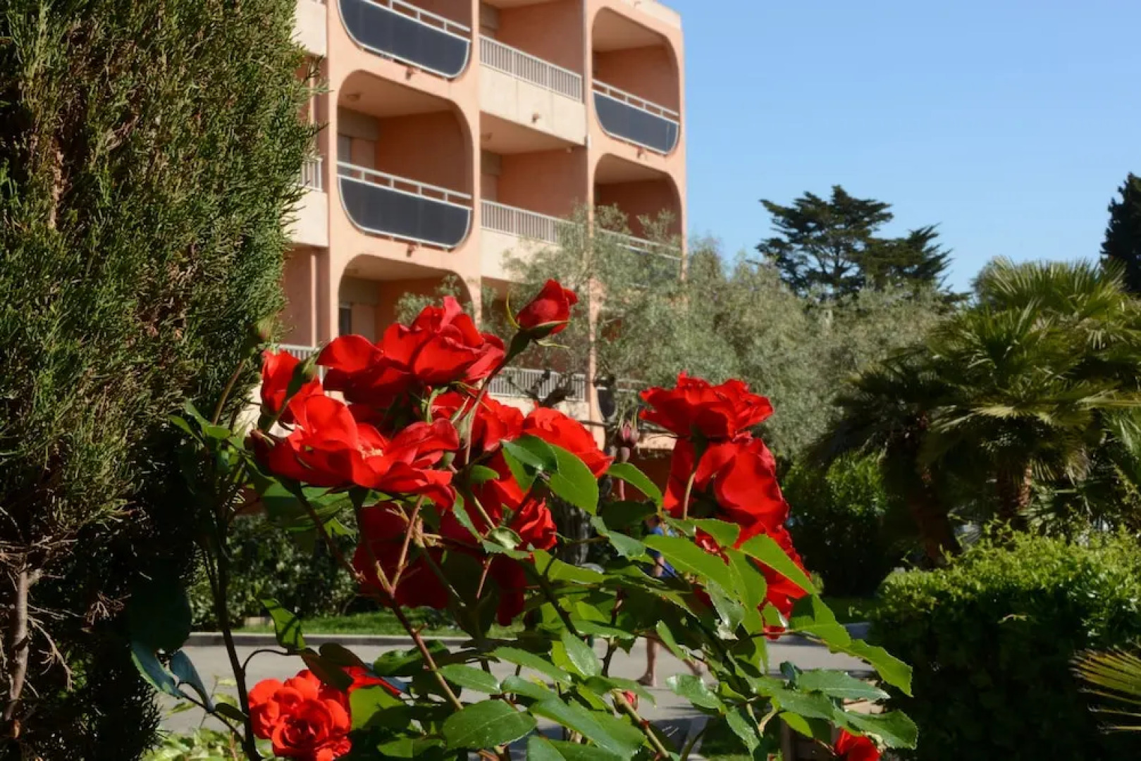 Residhotel Eden Paradise