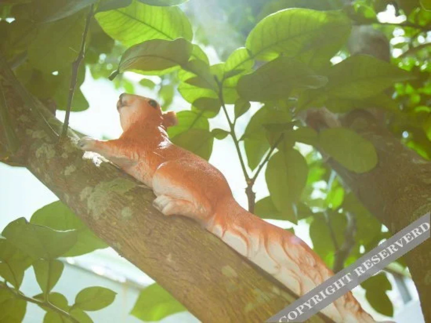 Zhoushan Shengsi Haizhixing No.17 Hotel