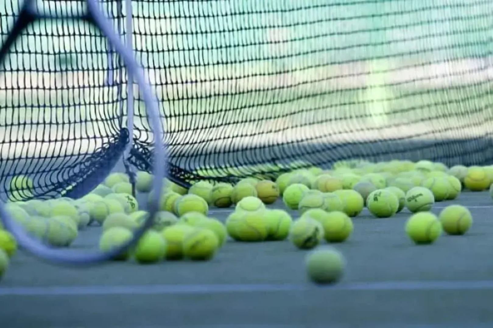 Wilderness Presidential Resort