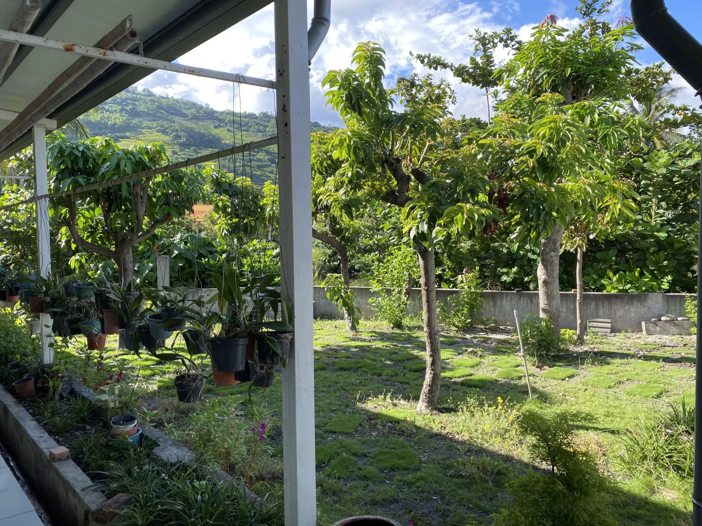 Grandma Tso's Home B&B