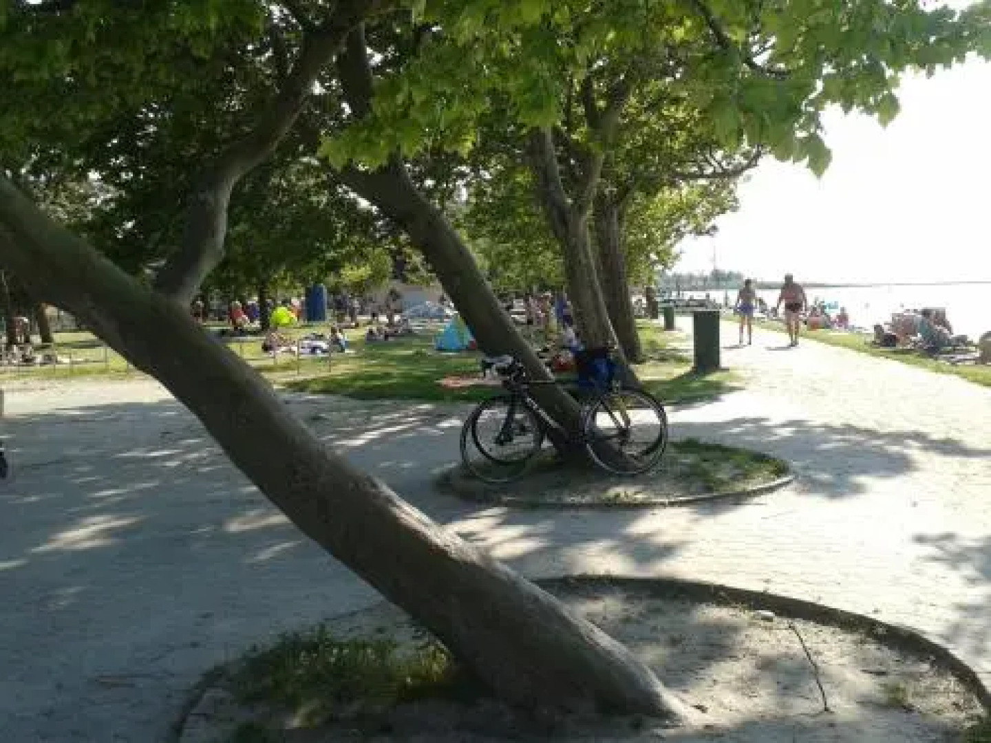 Munkácsy Apartmanok