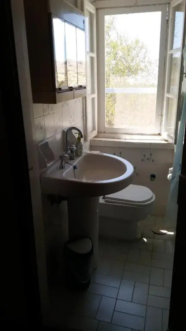 The large bougainvillea house