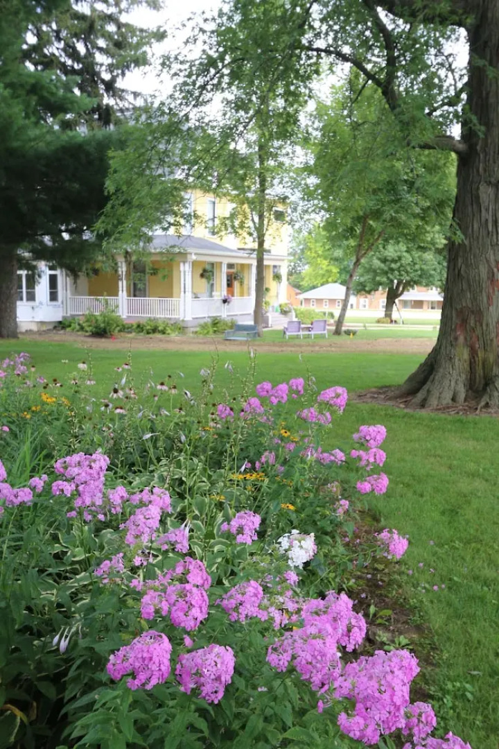 Lavender Fields Inn B&B
