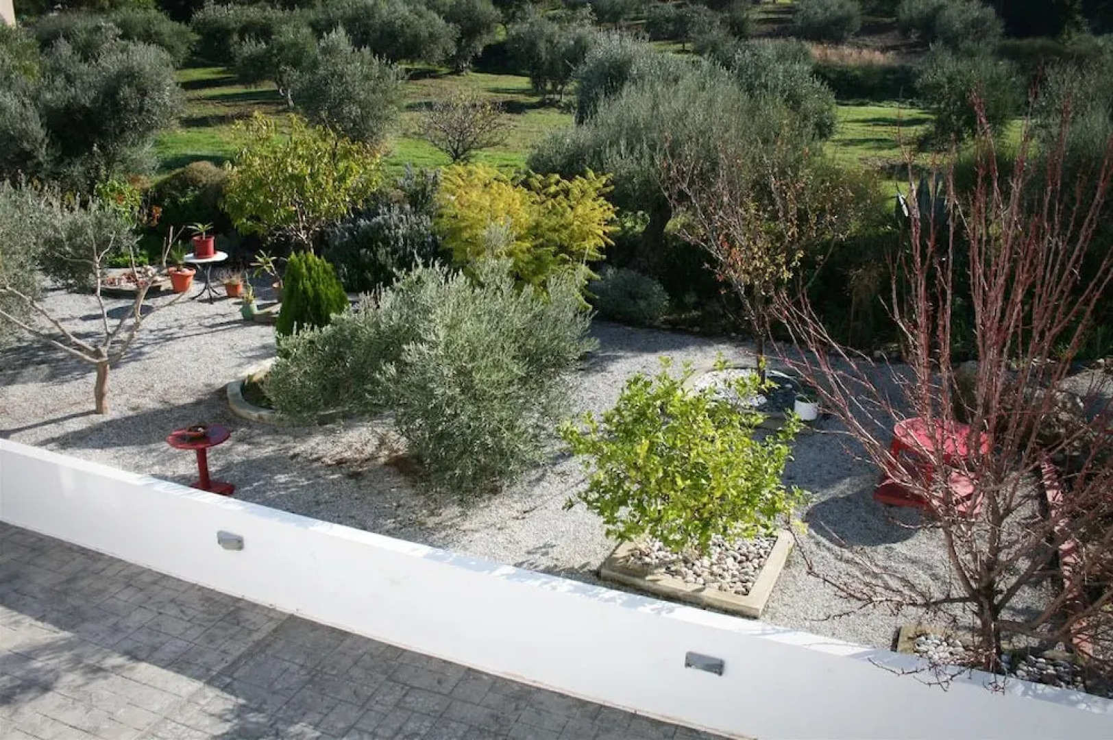 The Olive Branch Villa