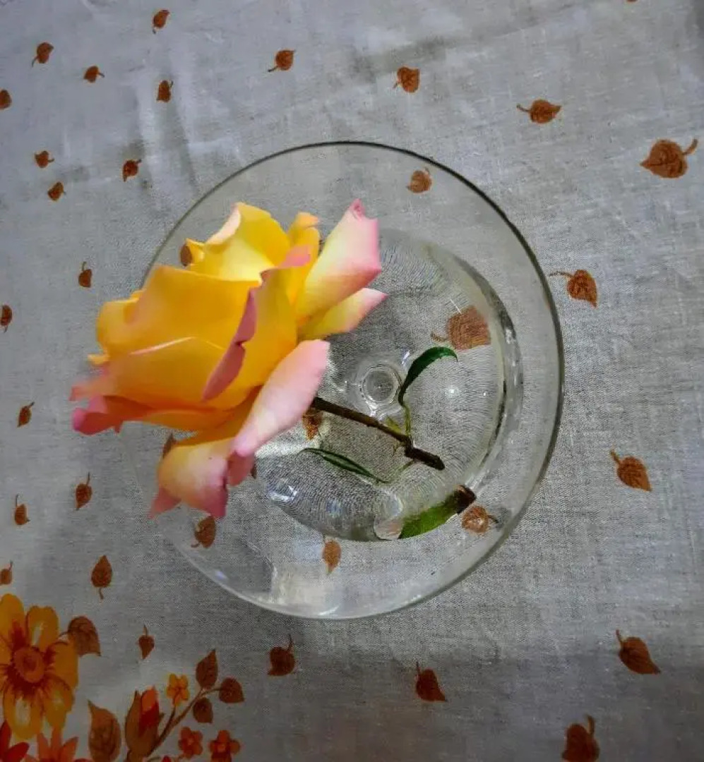 Villa on the Danube (Vila na Dunavu)