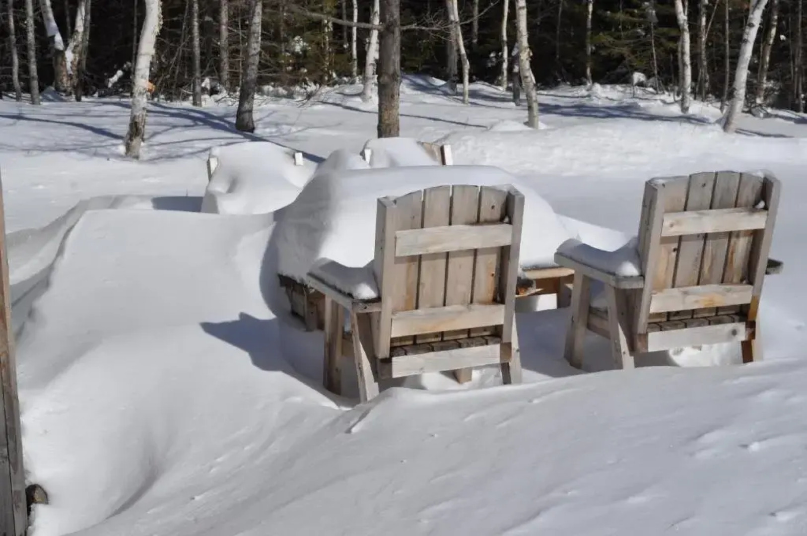 The Dancing Moose Cafe