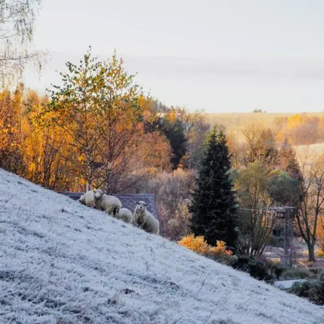 Penzion Staré Město