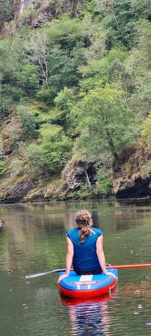 El Bosque de las Viñas