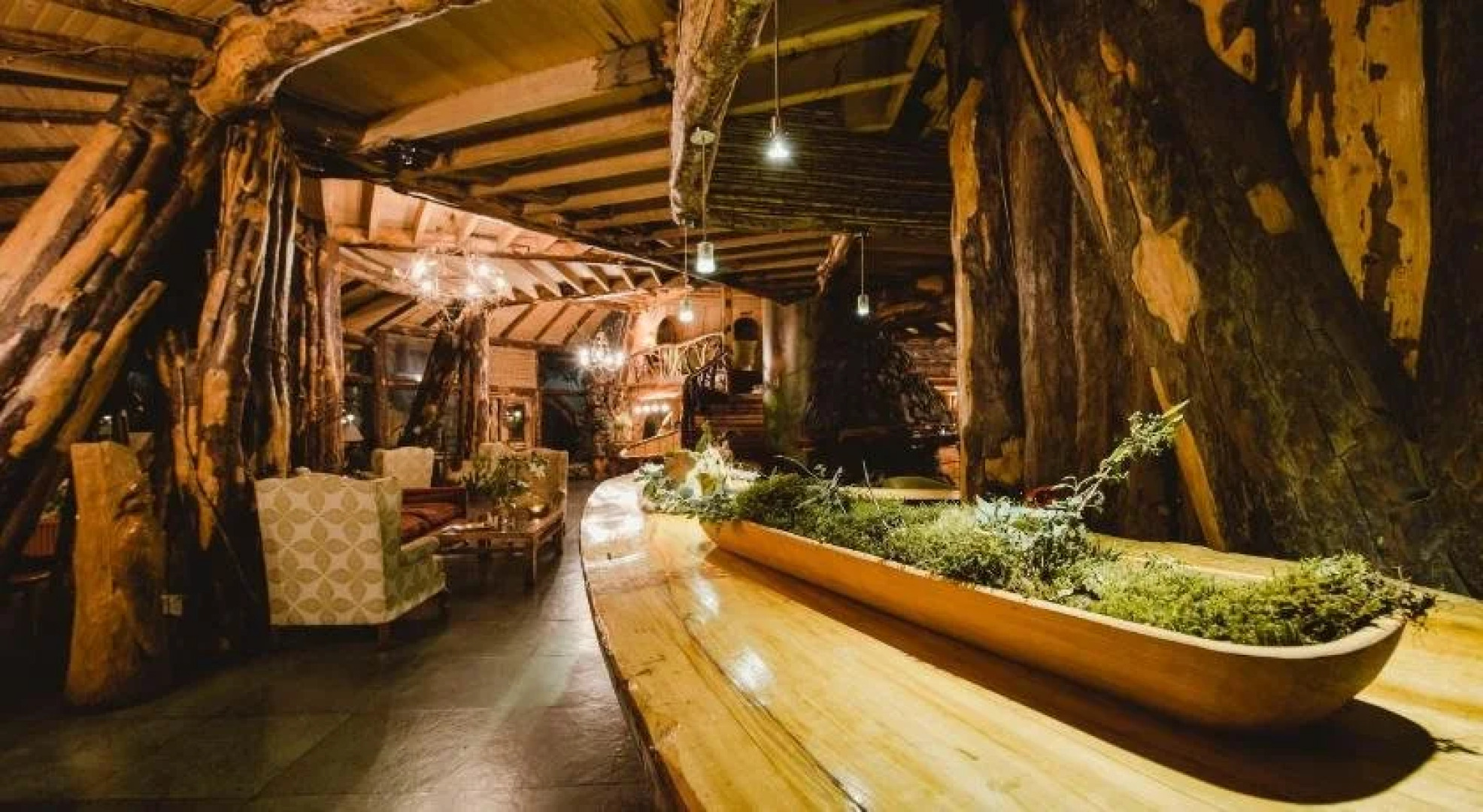 Huilo Huilo Montaña Magica