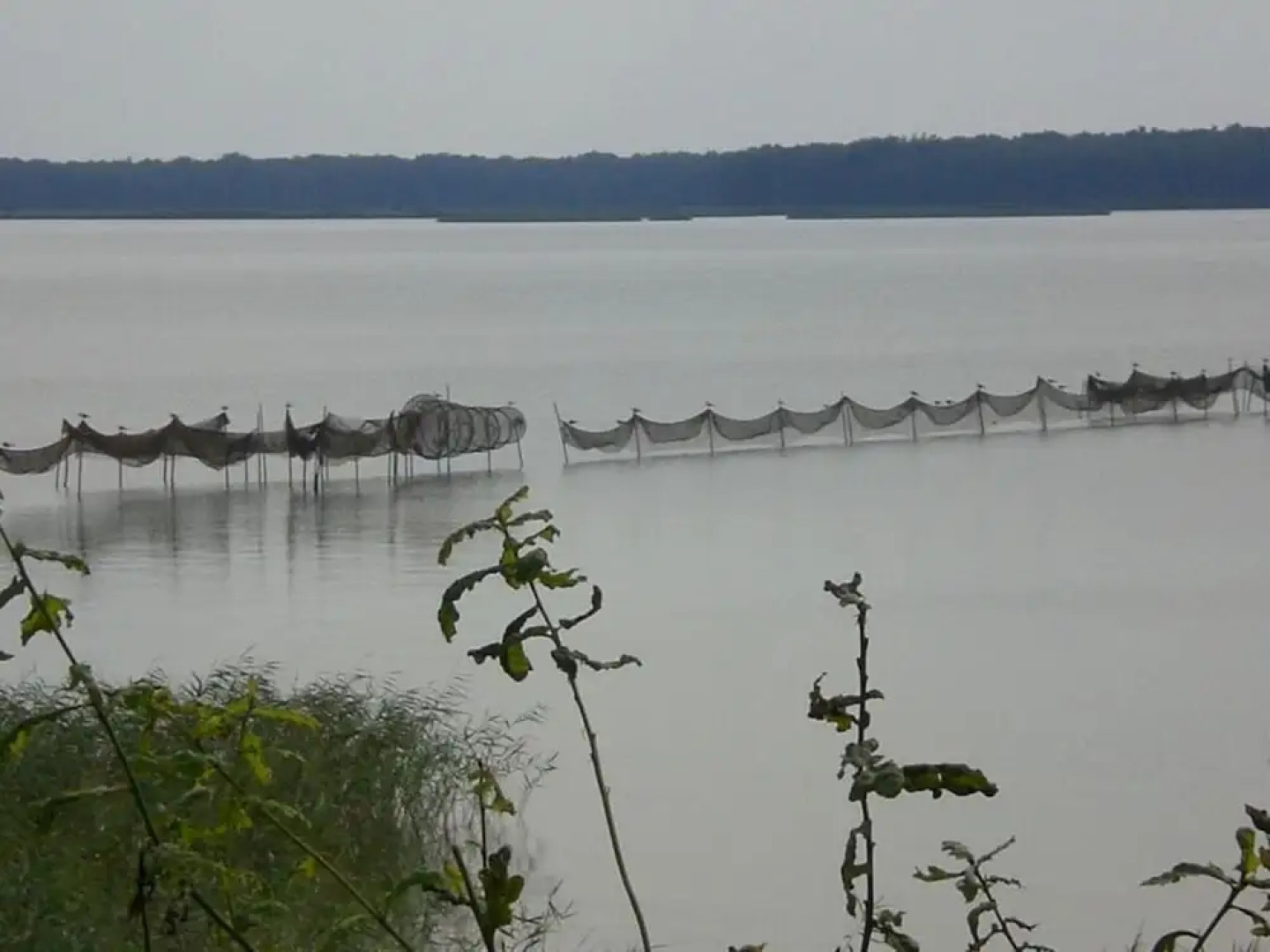 Holiday Home Water View