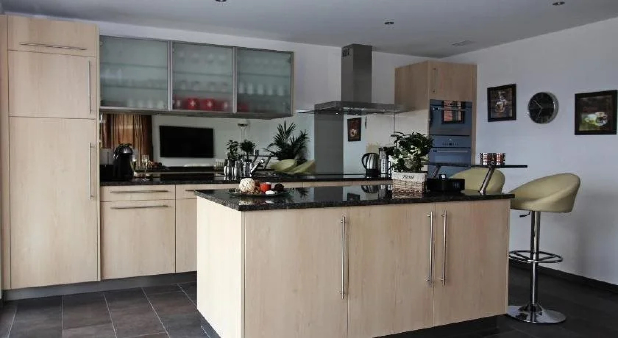 Swiss Lakeview Apartment