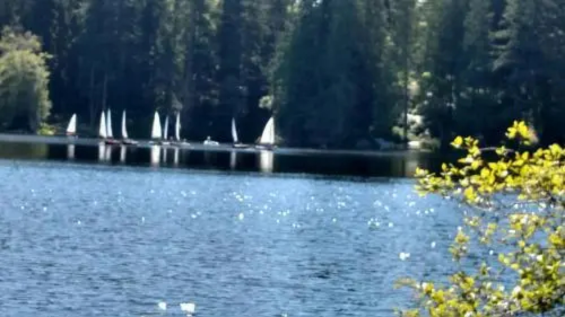 248 - Goss Lake Chalet