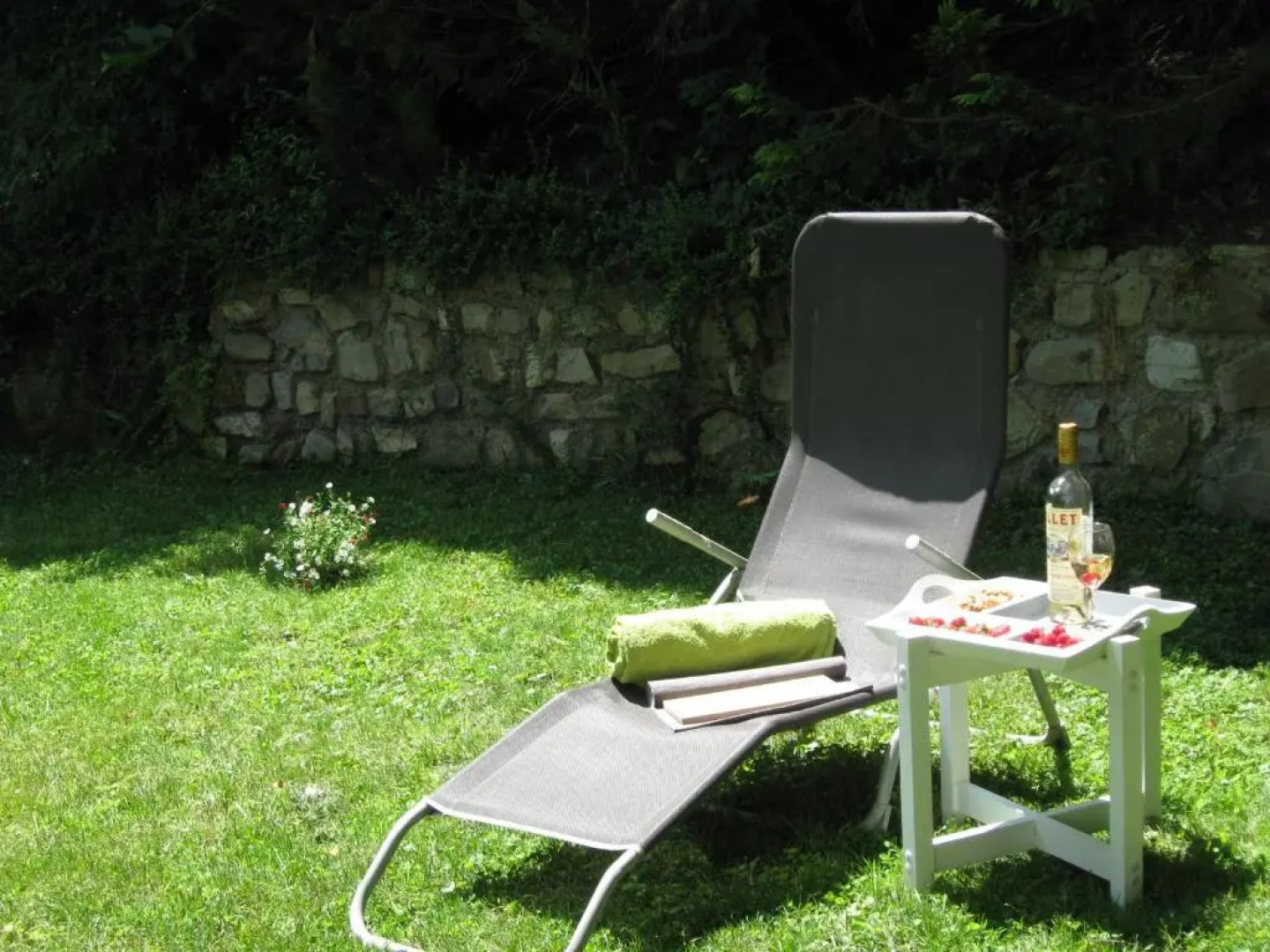 Danube view house with garden