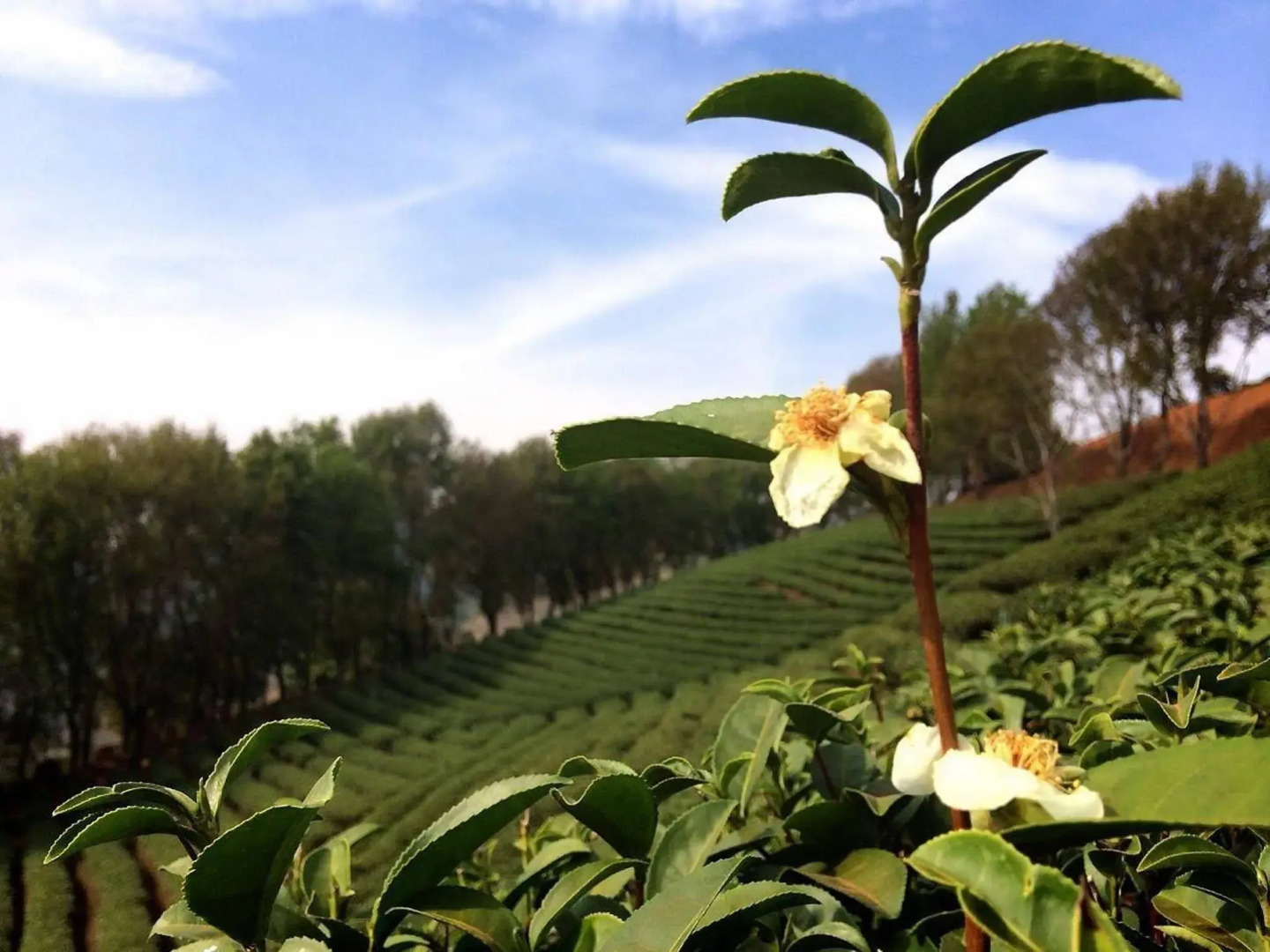 Wang Put Tan Boutique Hotel