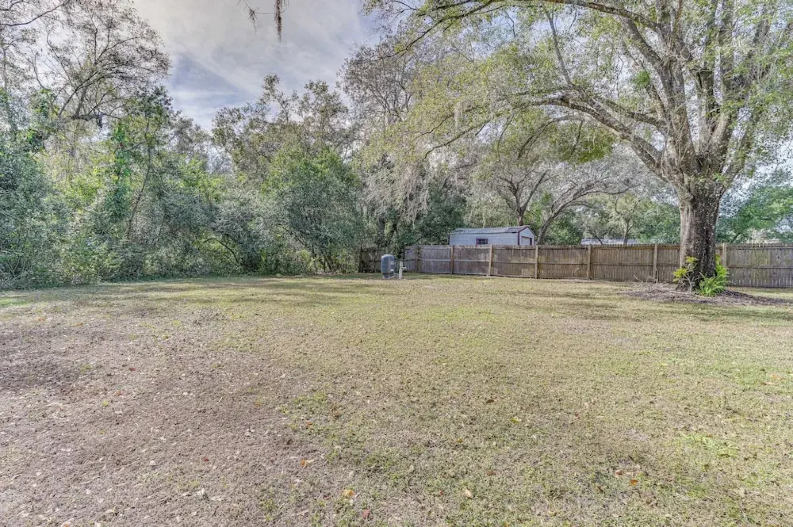 3 Mi to Usf: Dog-friendly Home w/ Large Yard