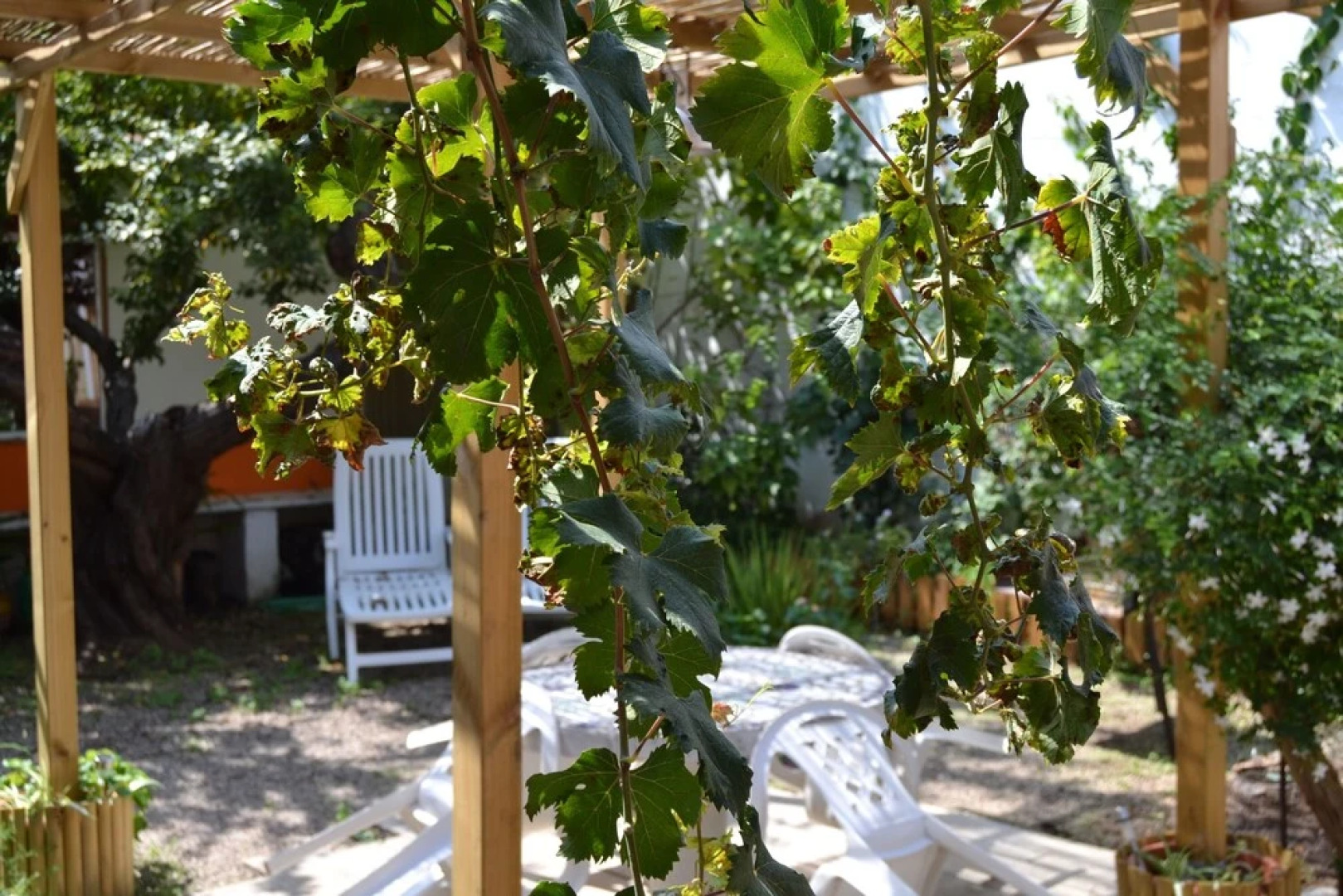 La Casa Rural de Carlos