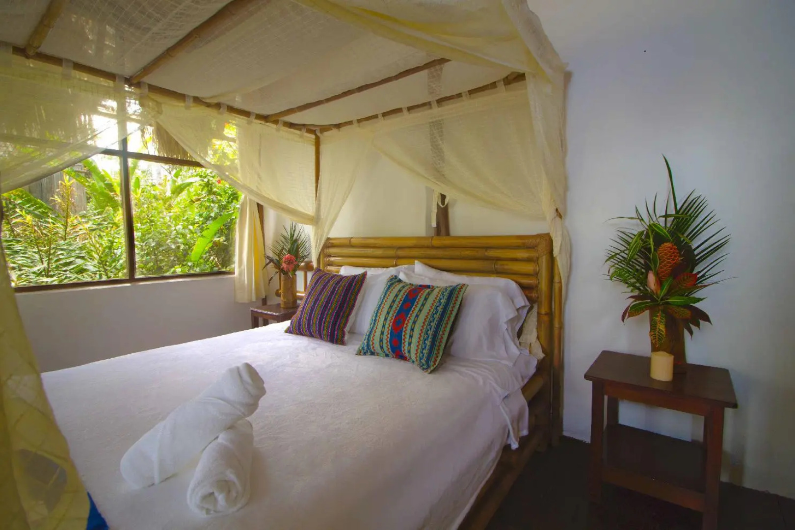 Socia/tel Amazon Tena