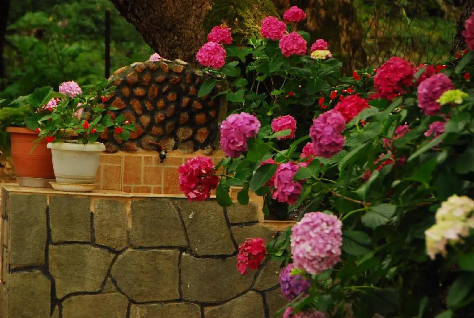 Tasoula Parselia Studios