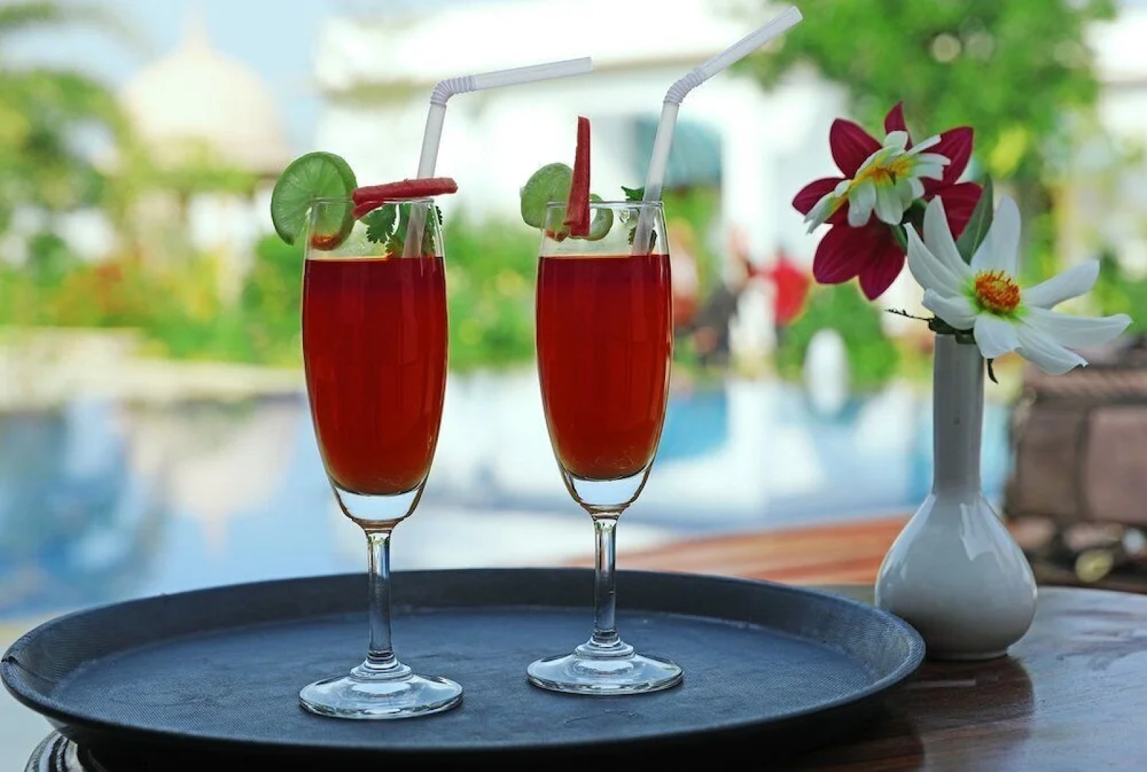 Clarks Safari Ranthambore