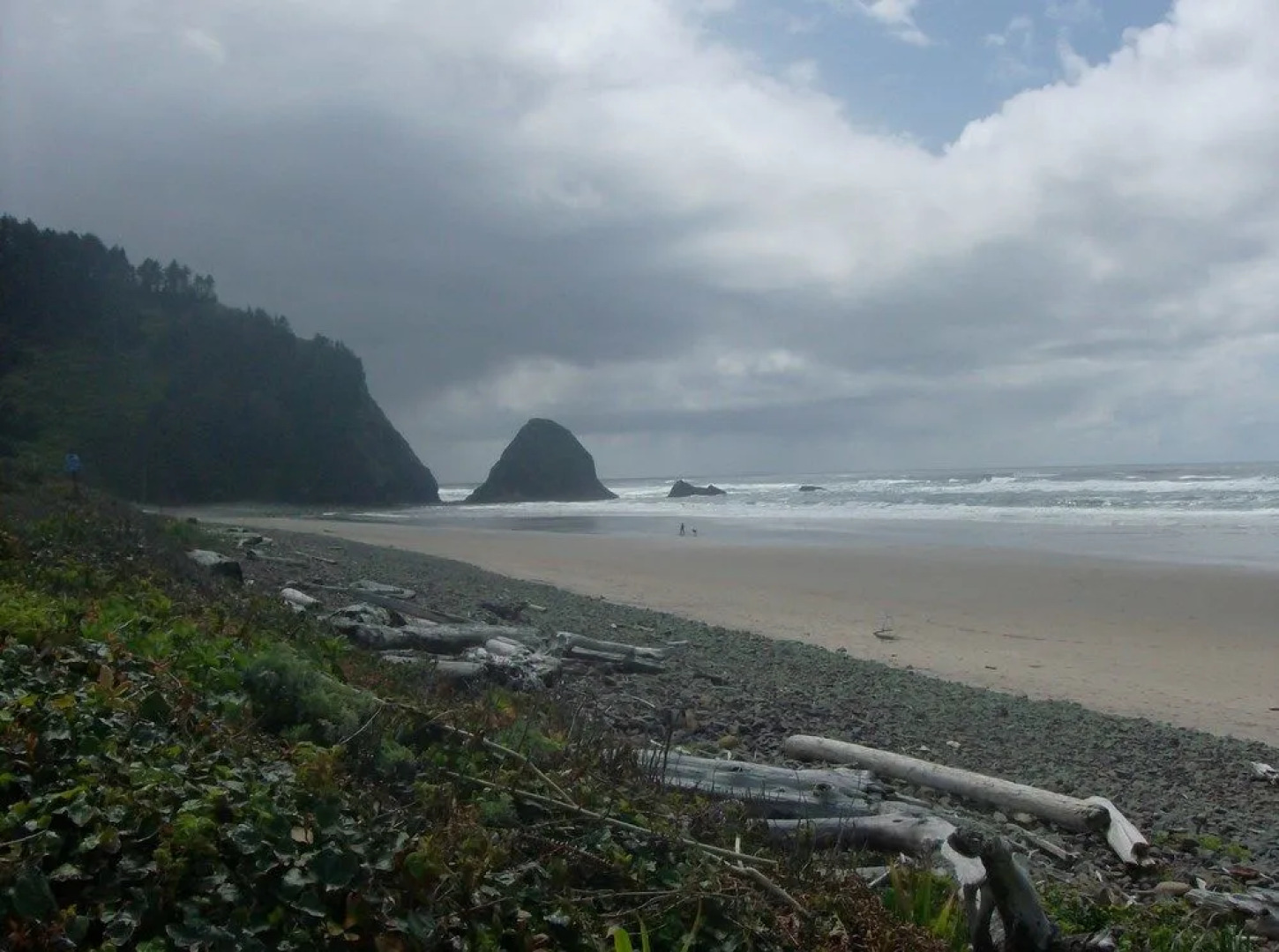 Shaw's Oceanfront Bed and Breakfast