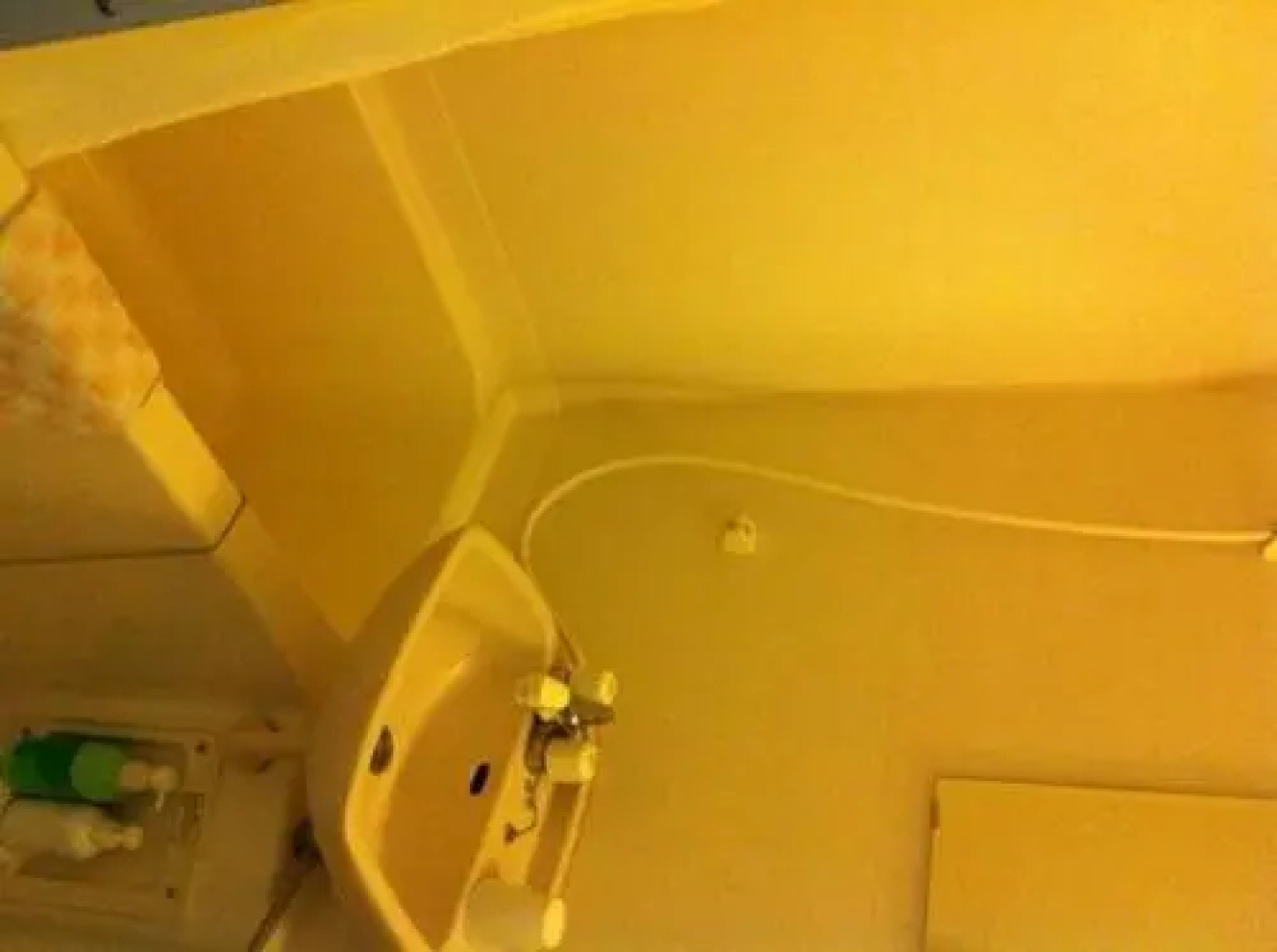 Business Hotel Suisen