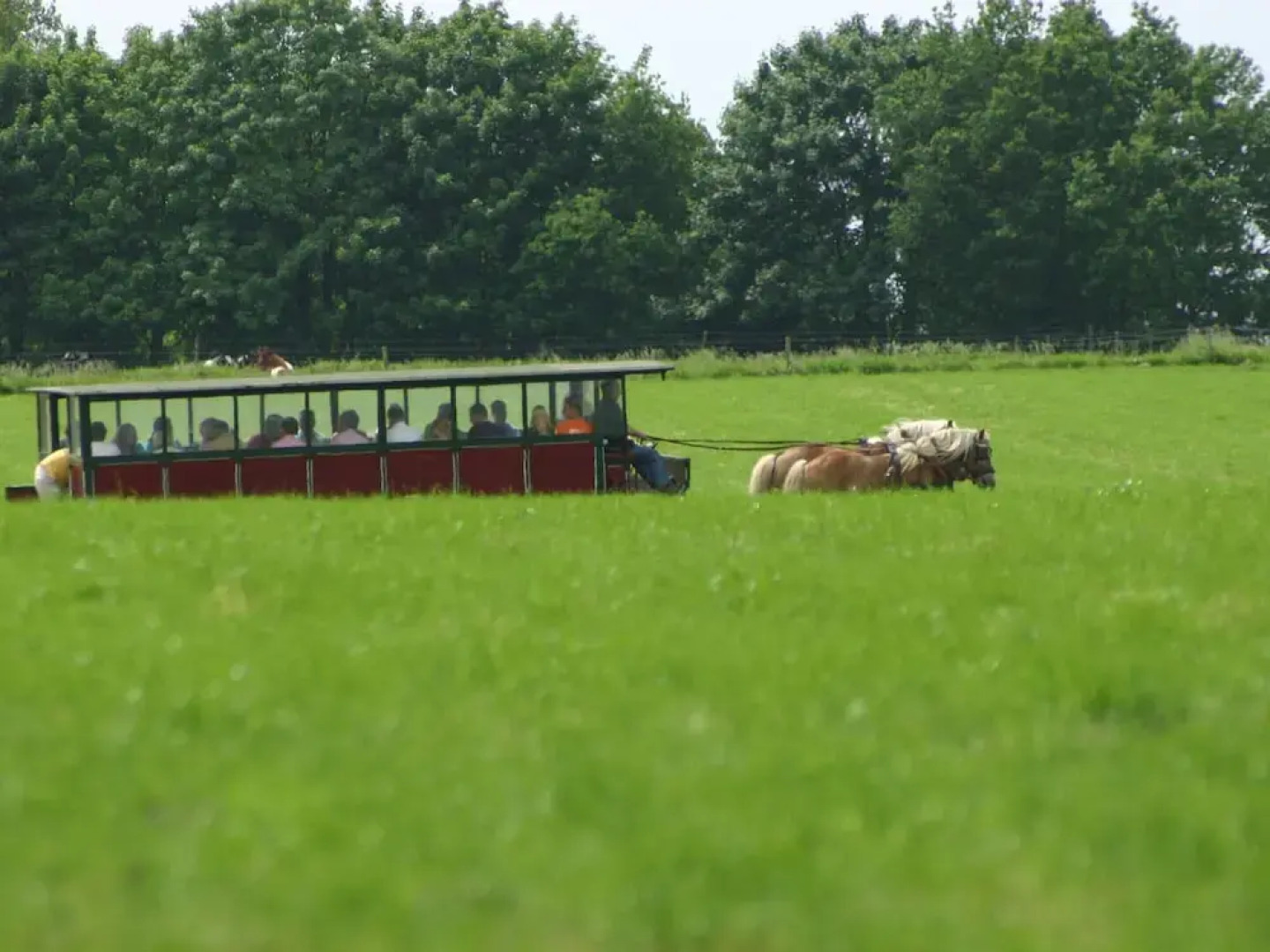 Tidy Chalet With a Microwave, in the Achterhoek