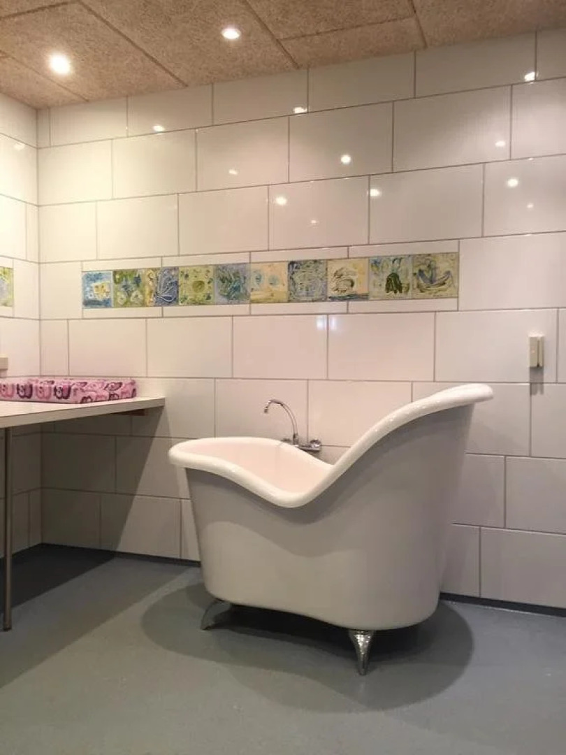 Saltum Strand Camping and Cottages