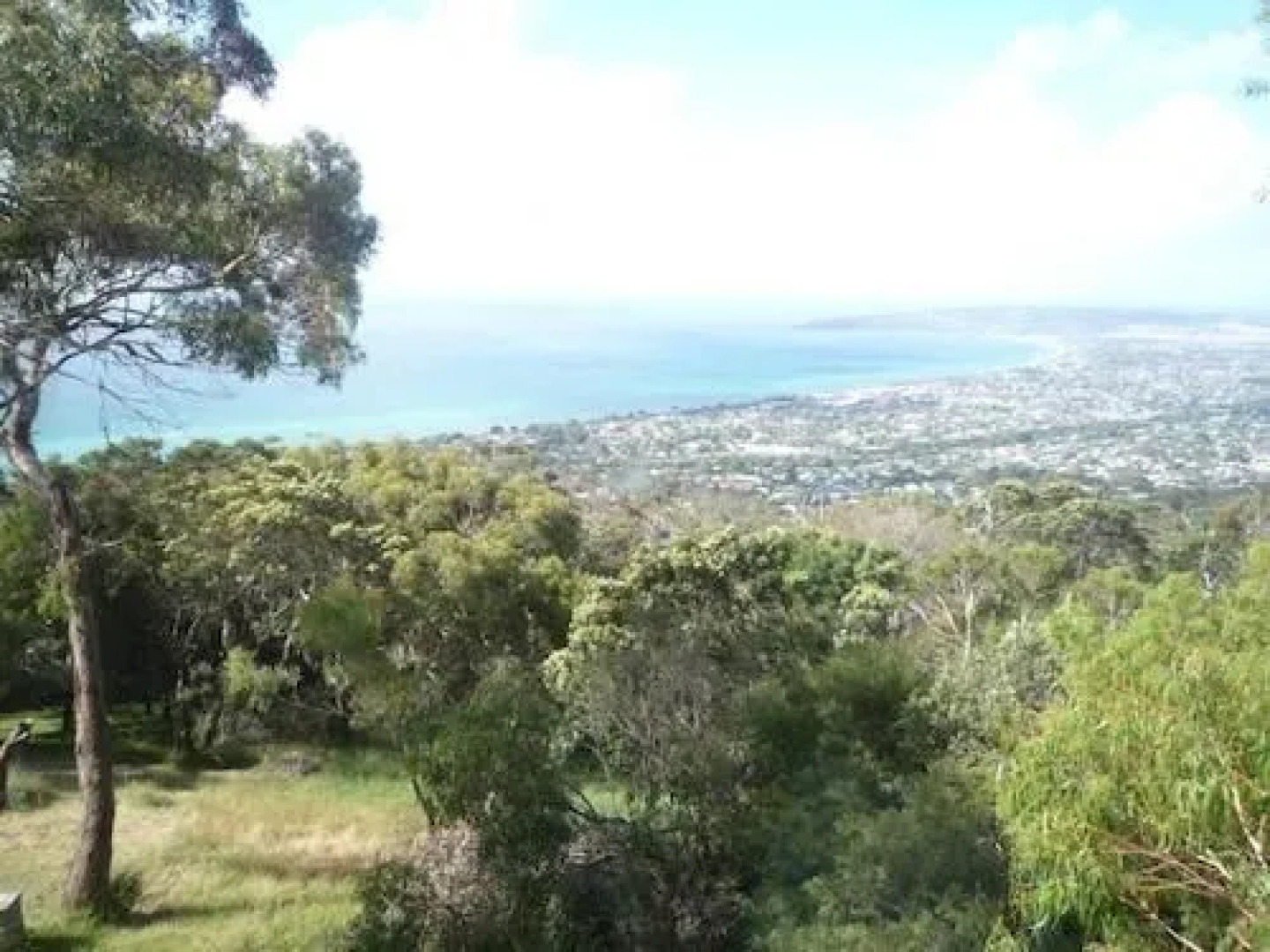Northern Aspects - Arthurs Seat and Red Hill
