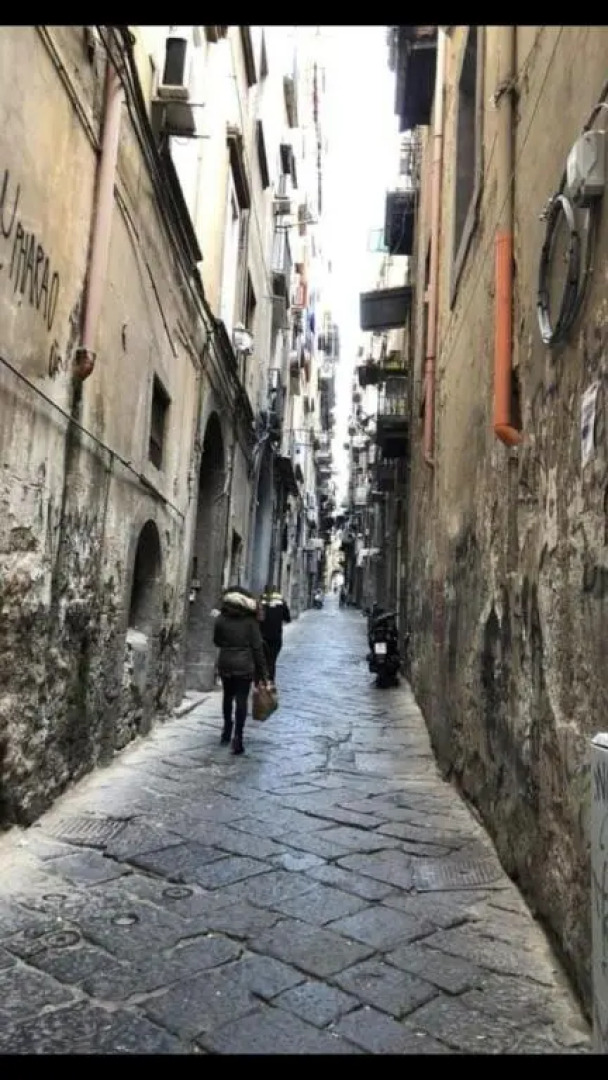 Rosy Monolocale nel Centro Storico di Torre Annunziata di Fronte Scavi Oplonti