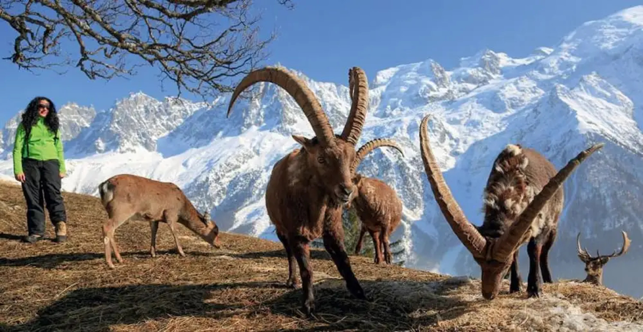 Châlet Hôtel Skiroc