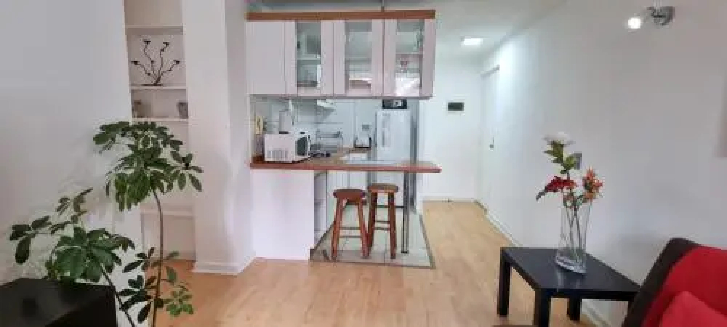 Departamento San Isidro