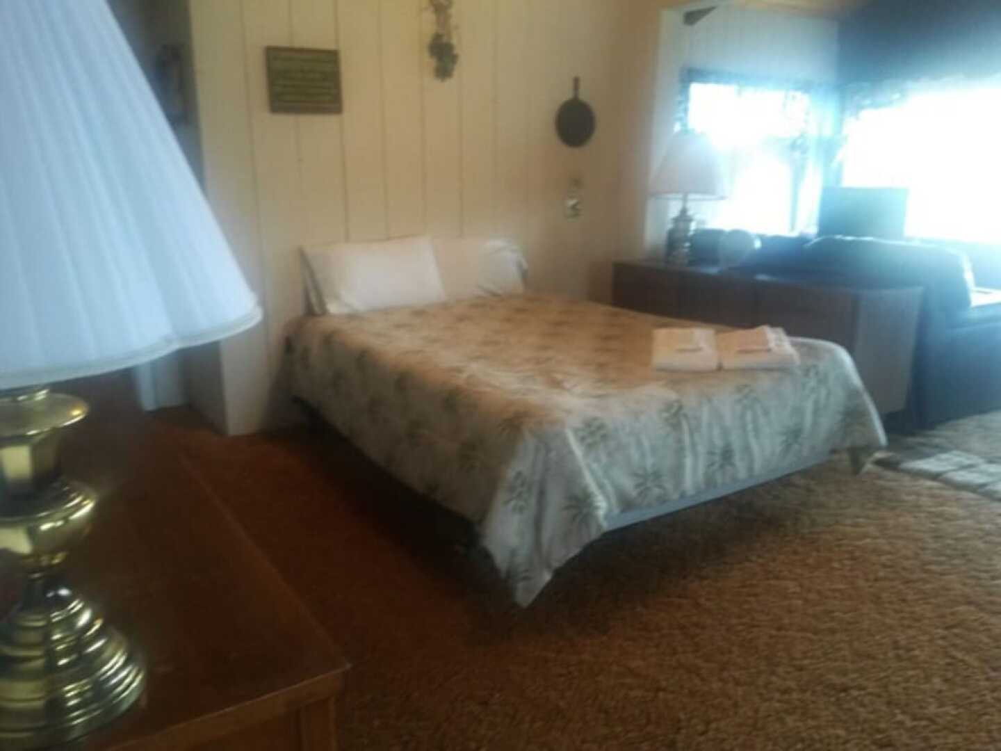 Celtic Cove Main Cabin