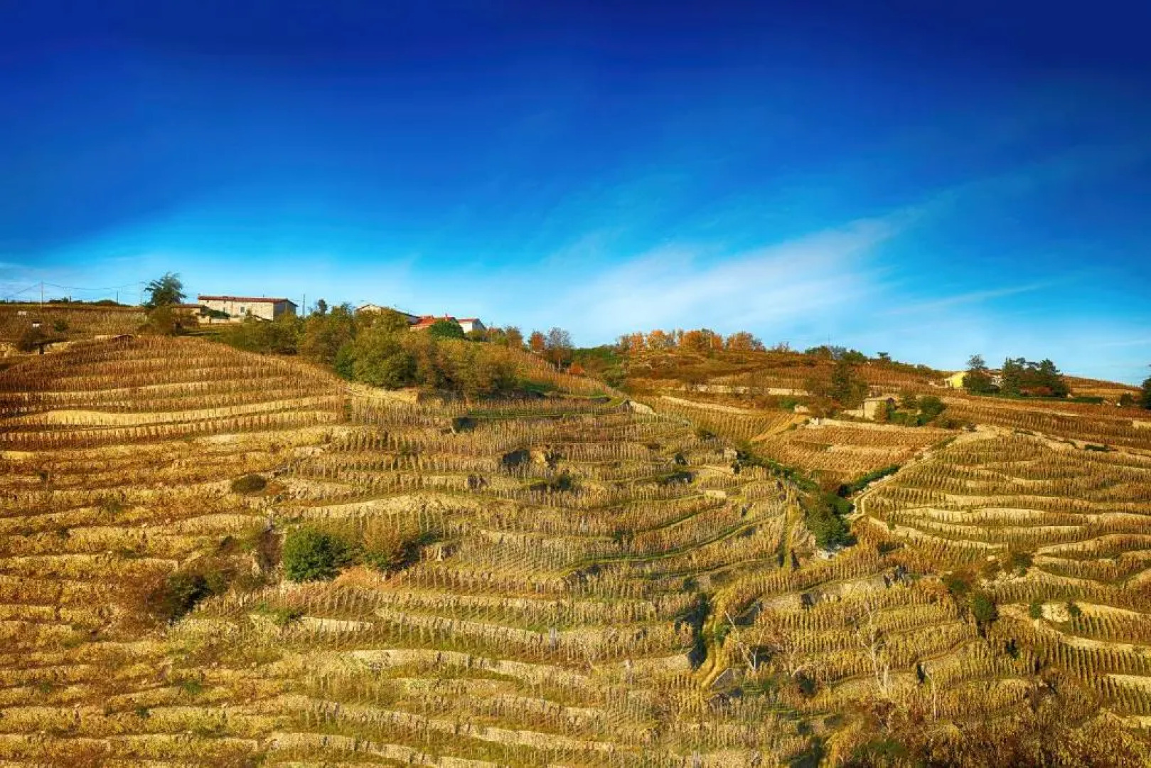 CONDRIEU T3 Climatisé 2ème étage