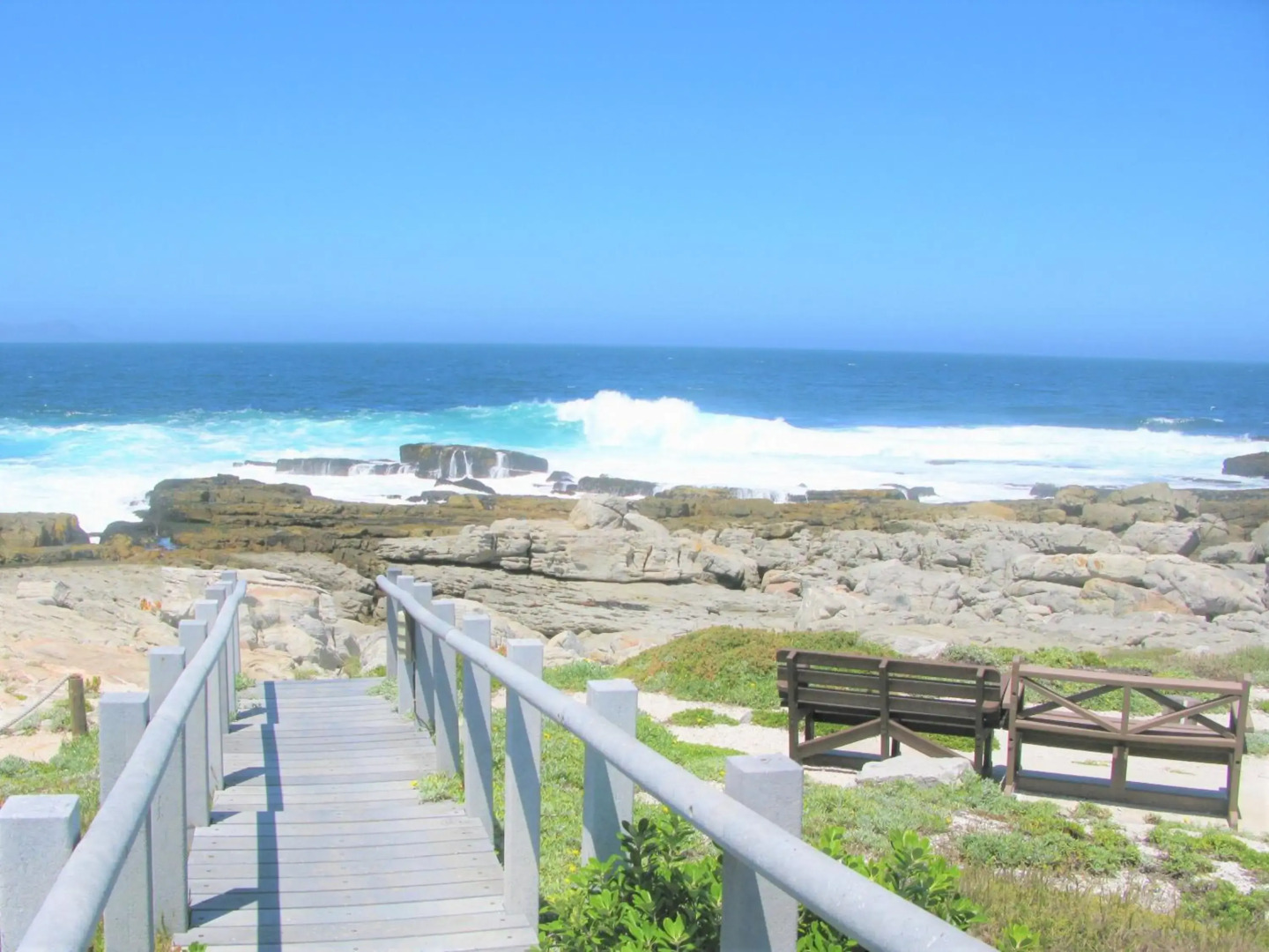 Hermanus Whale View