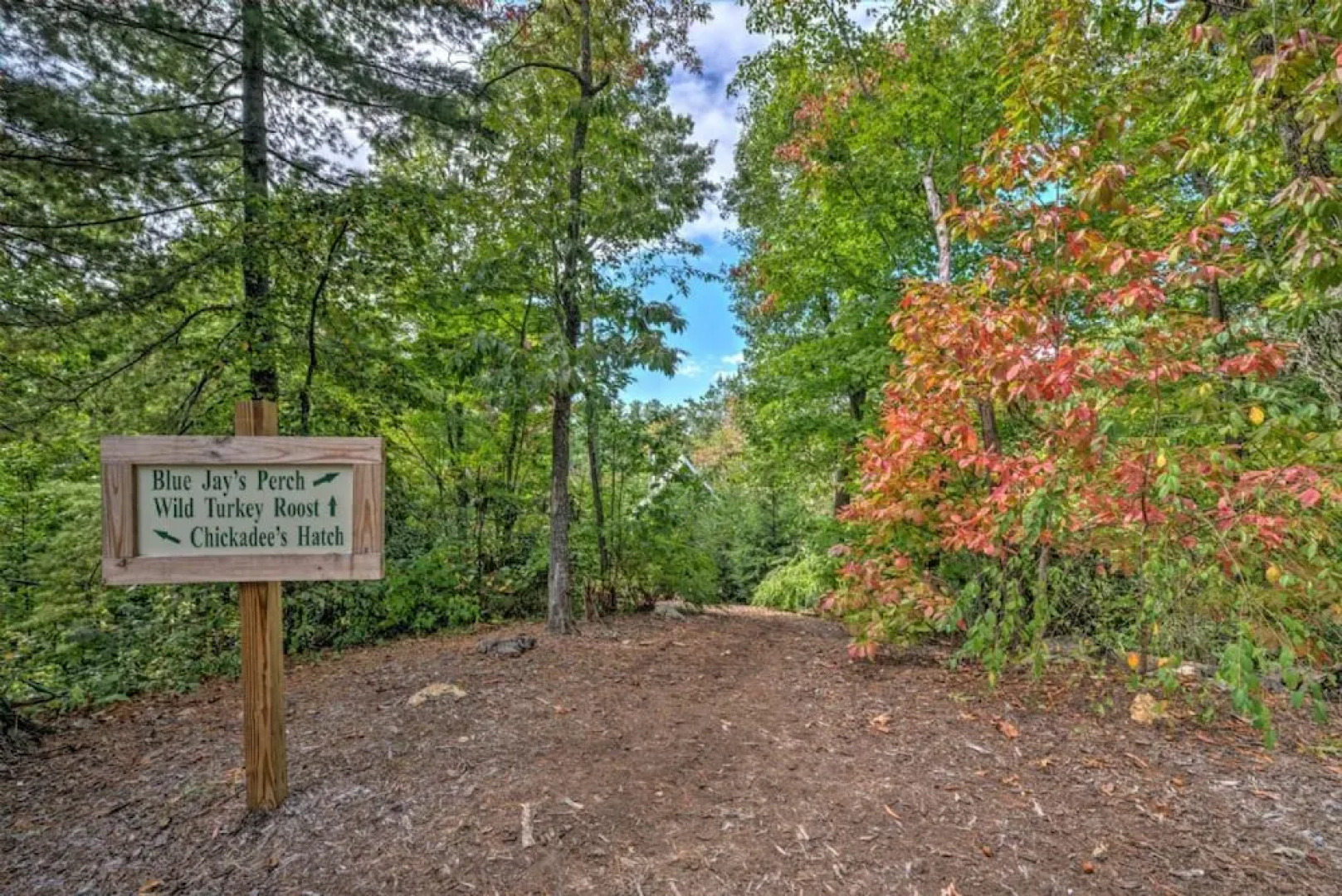 Wild Turkey's Roost - 1 Br Cabin