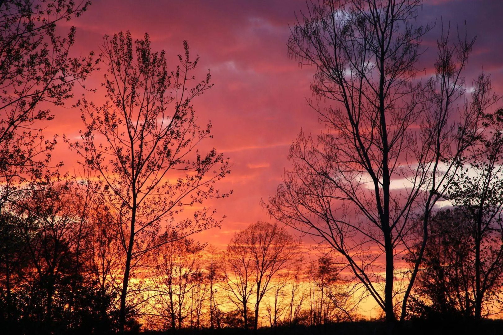 Wenzler's Landing Bed & Breakfast