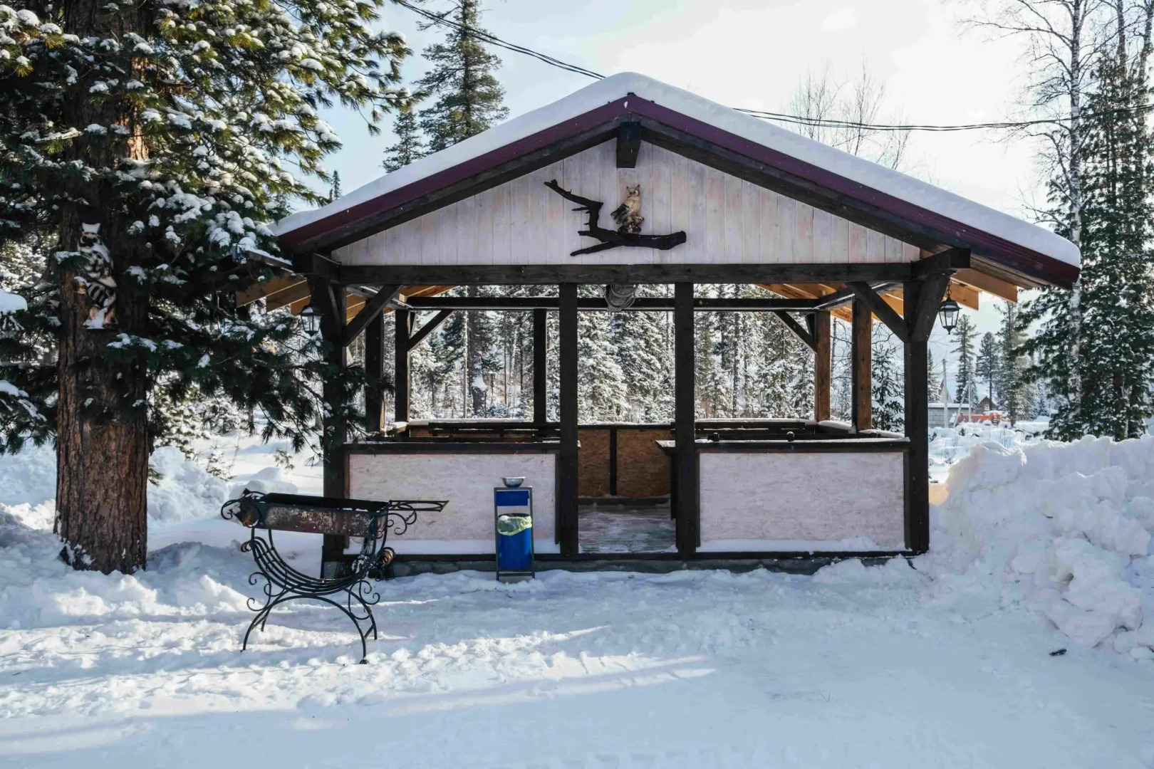 Дом в кедрах