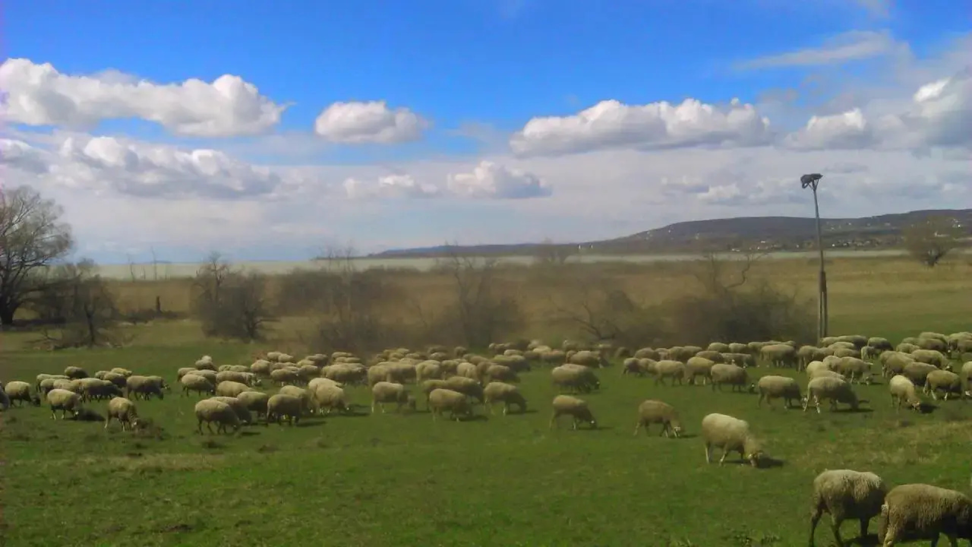 Peace & Beach House in Tihany, Sajkod