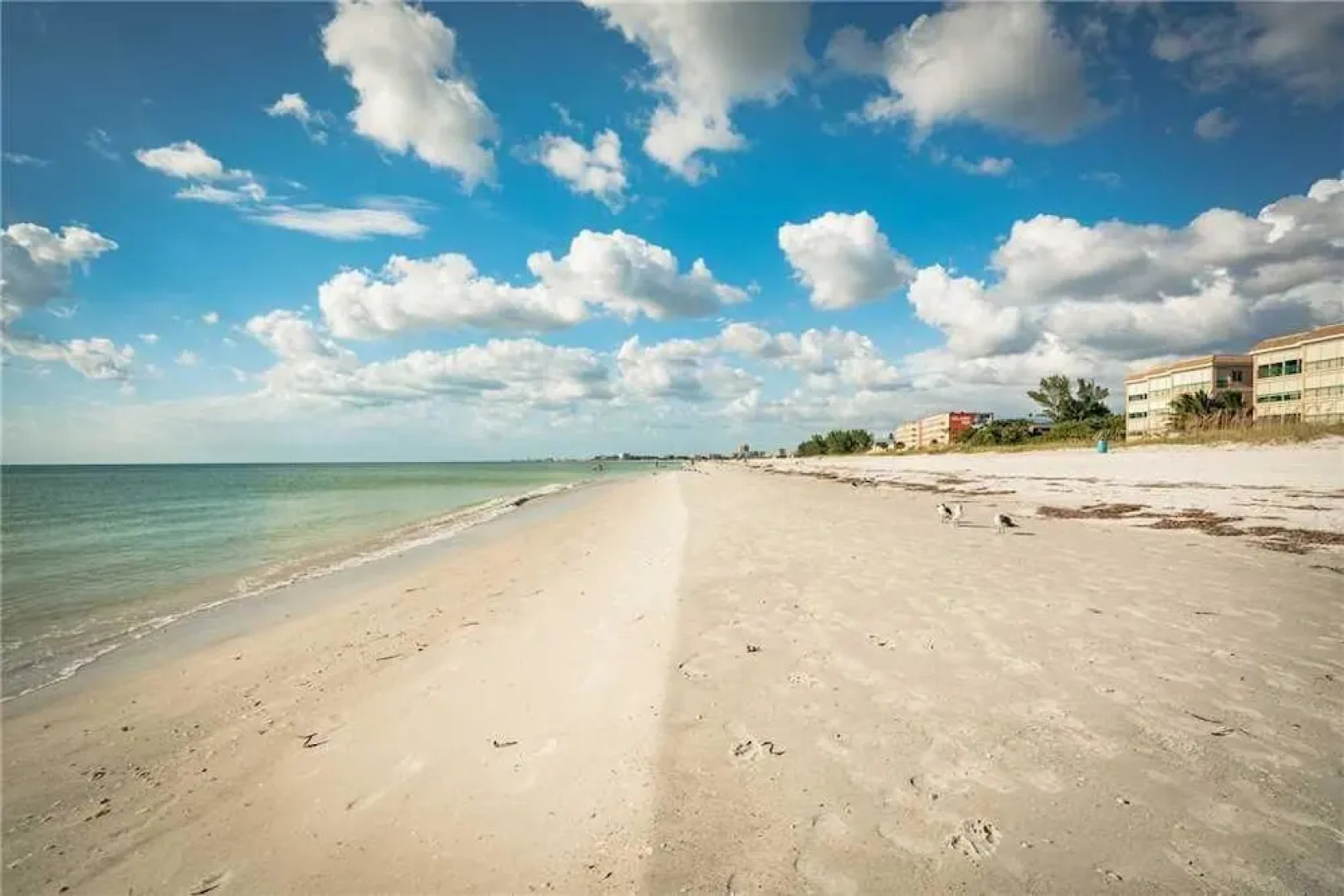 Seashell 19 - Two Bedroom Condo