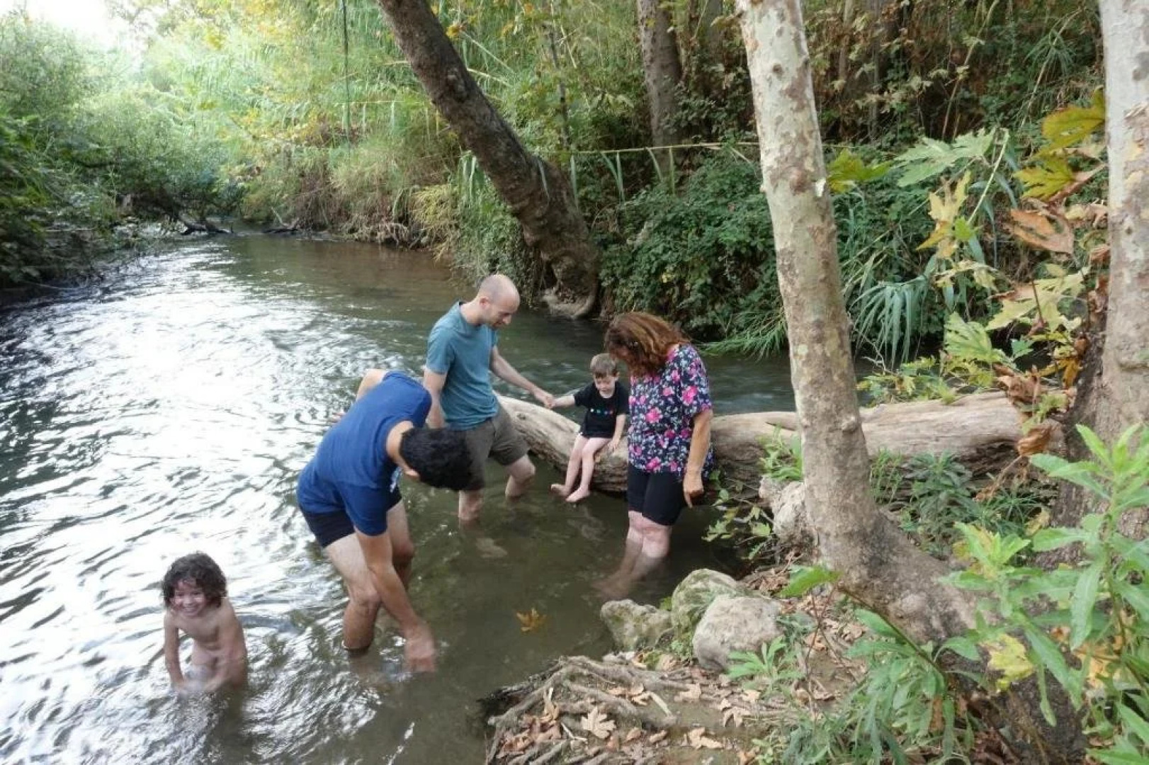 Nuriel Fruit & Guest House