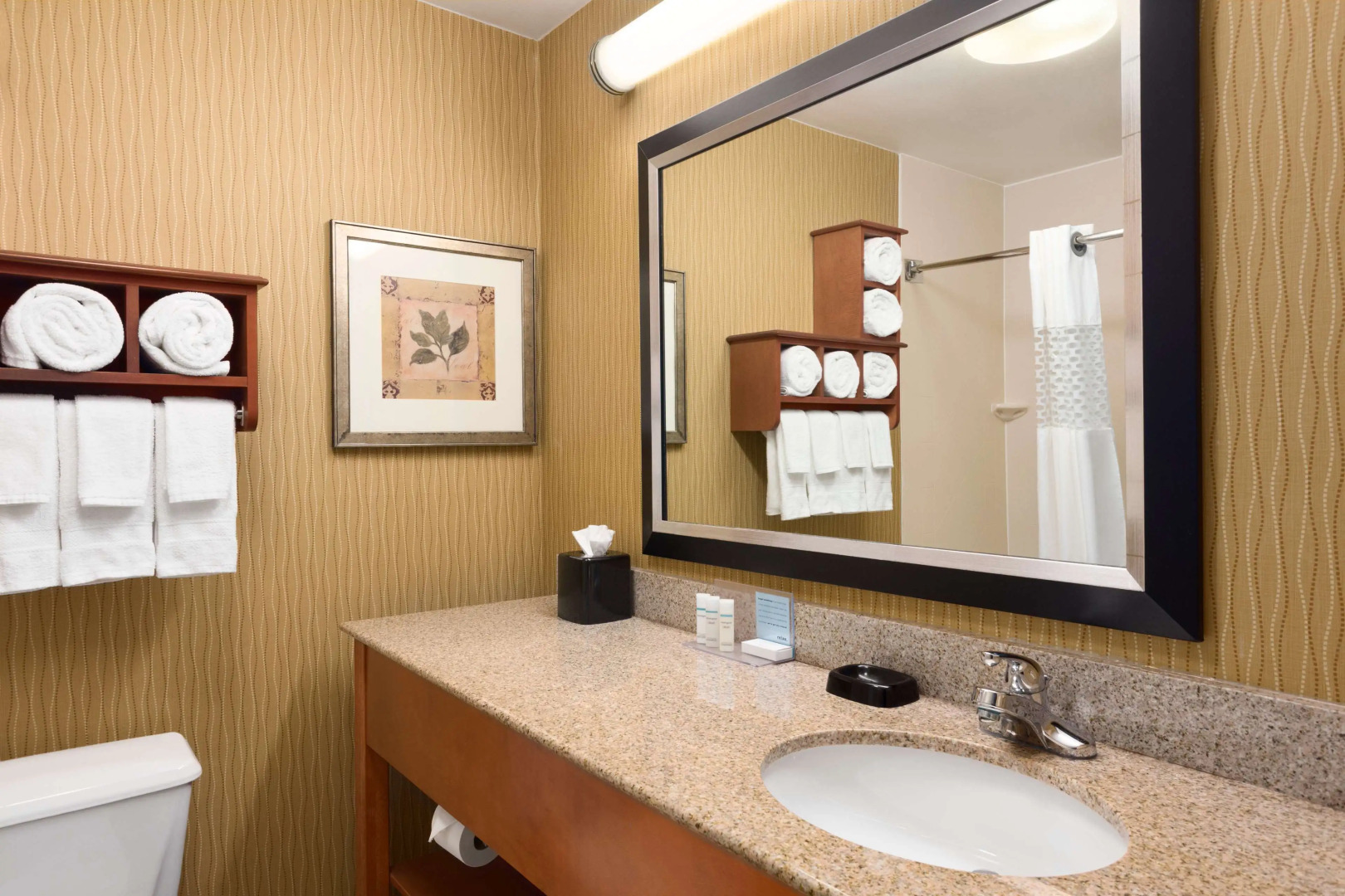 Hampton Inn Wichita-East