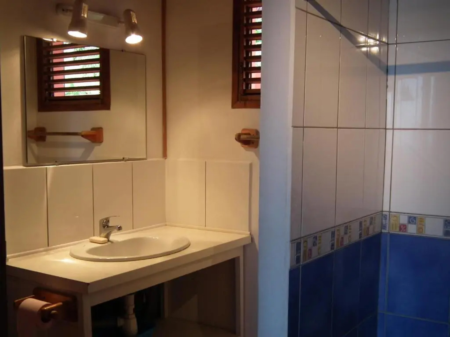 Le Cardinal des Grands Bleus