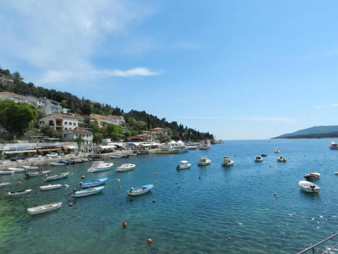 Dee's House and Pool