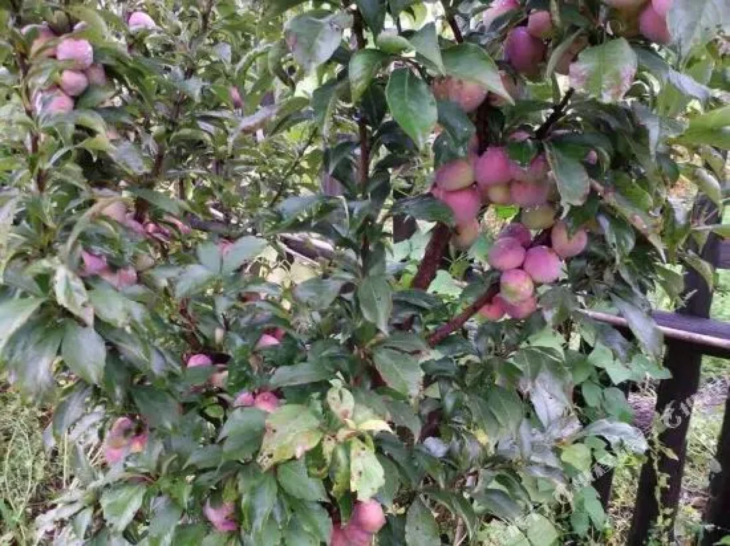 Home Of Linhai Family Guesthouse