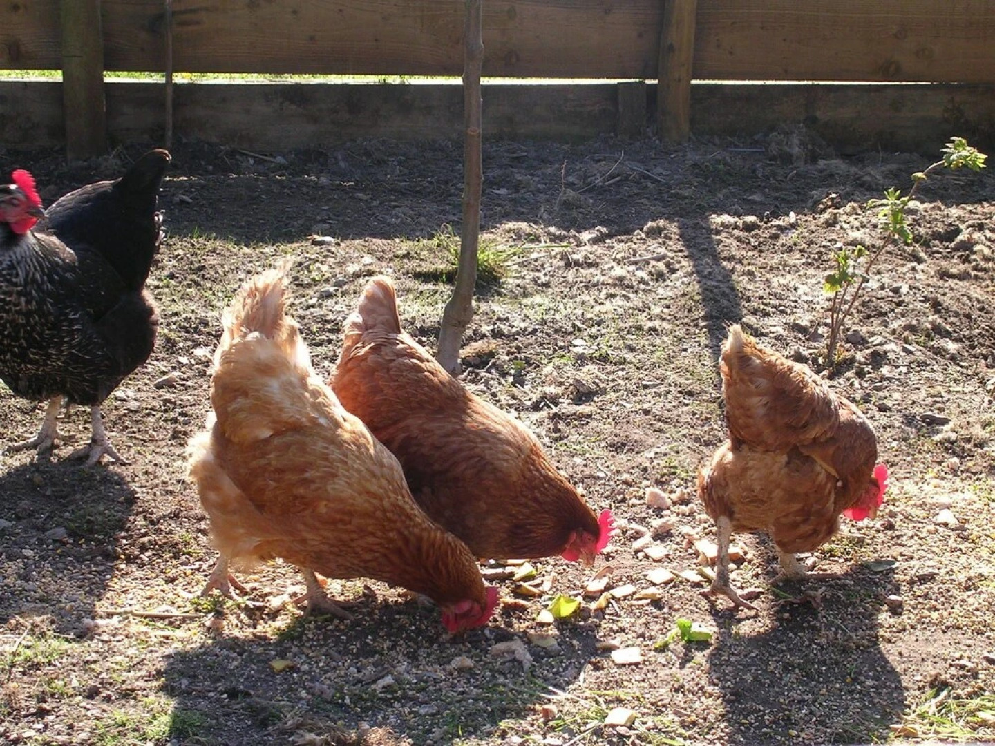 Mill Cottage Marsh Mills