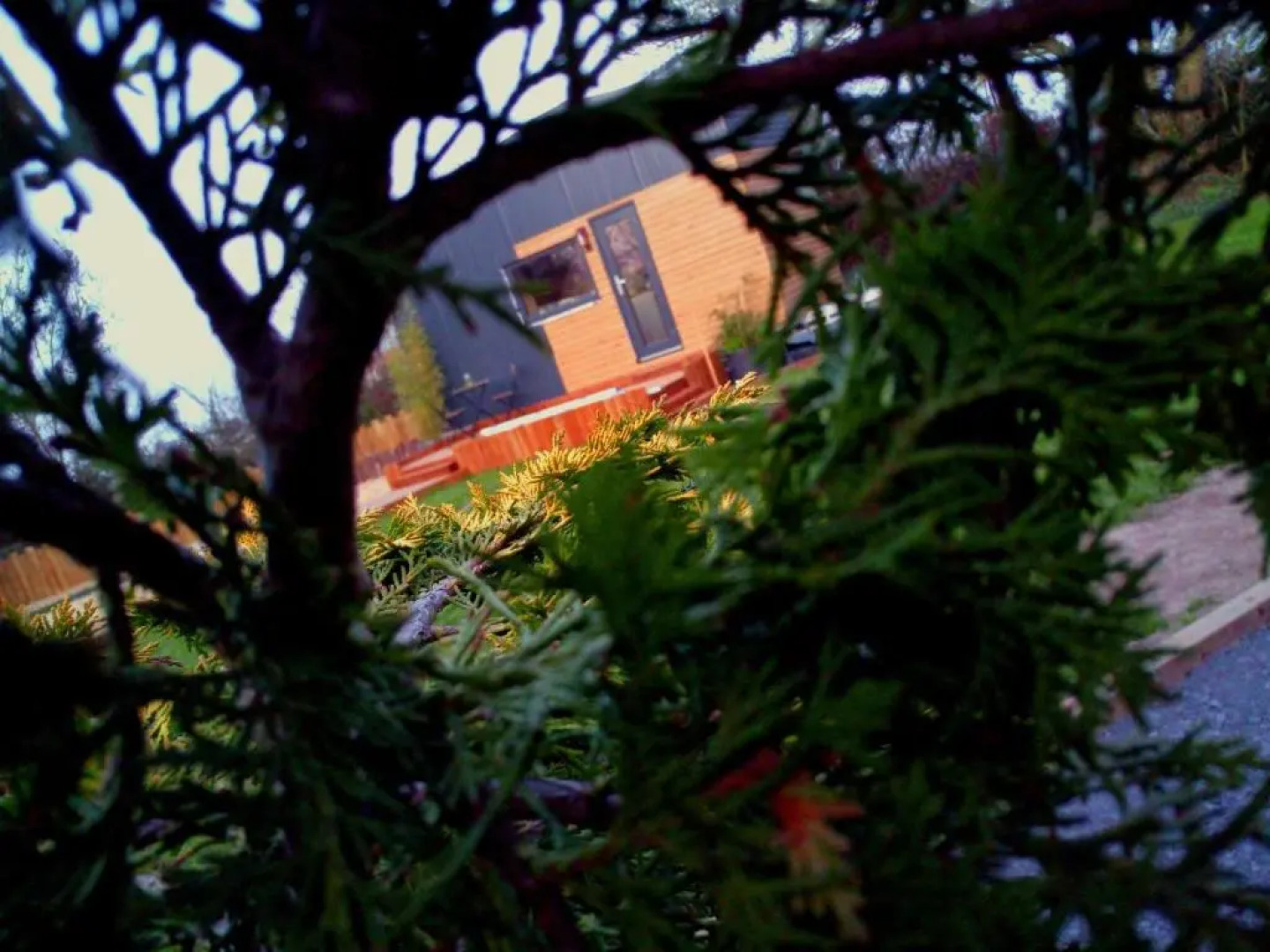 La tiny house exiguë ?