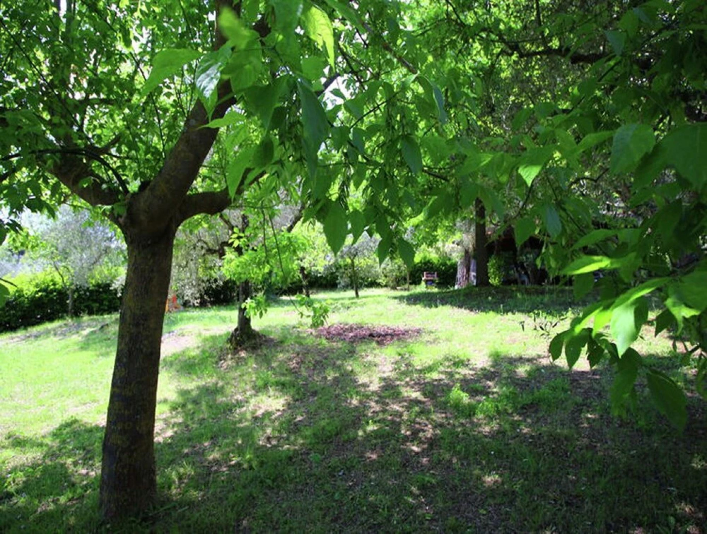 Casa Vacanze Raperonzolo