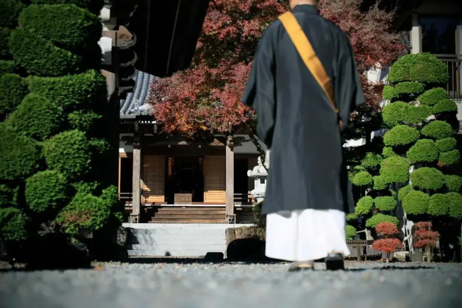 Temple Hotel Habanobo