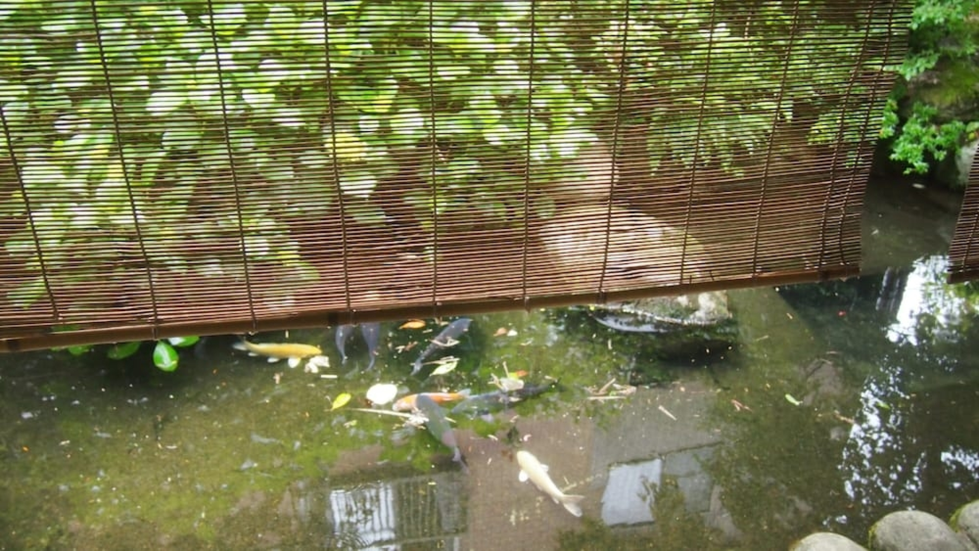 Shirakawago Gassho house Gensaku