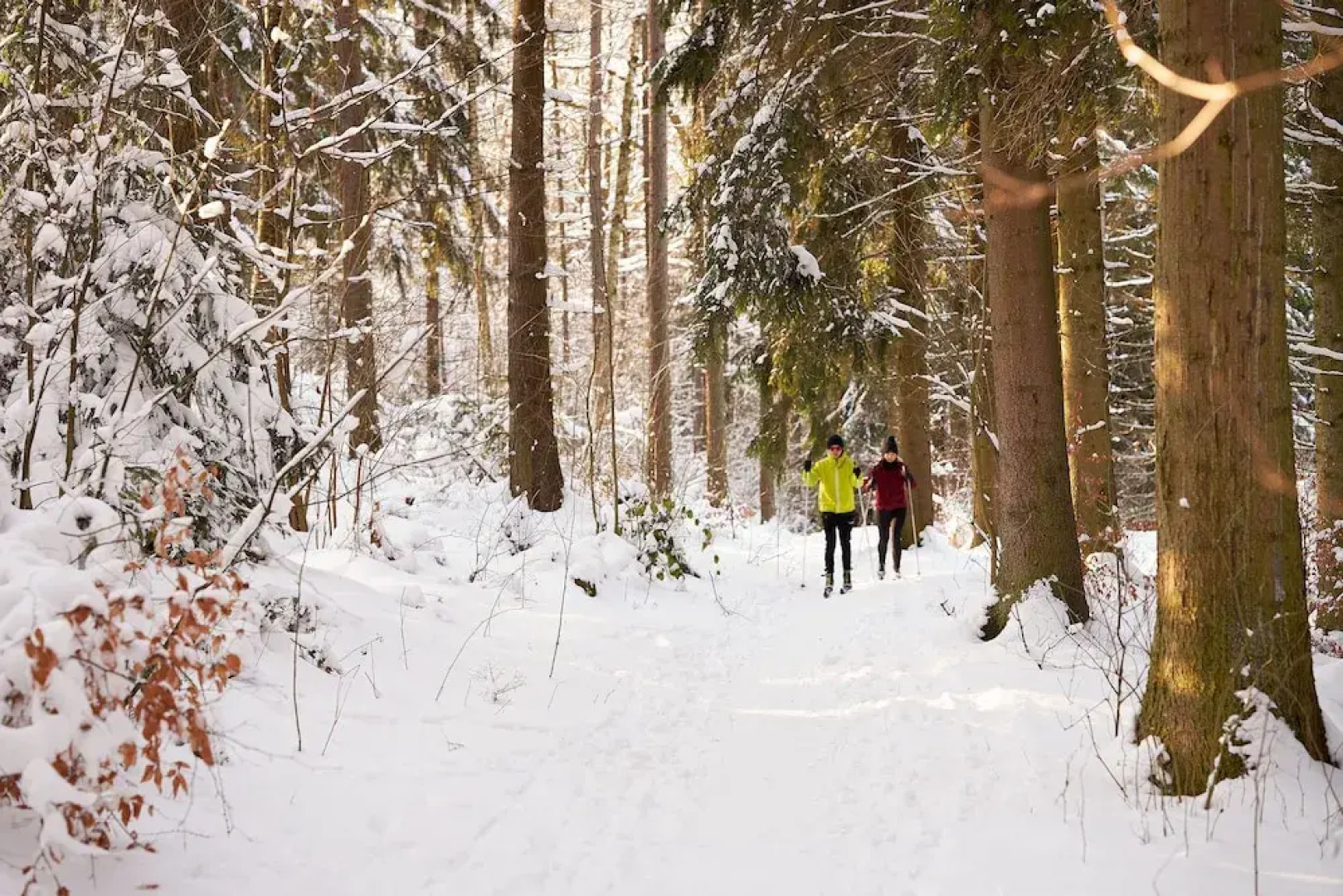 Waldhotel Tannmuehle